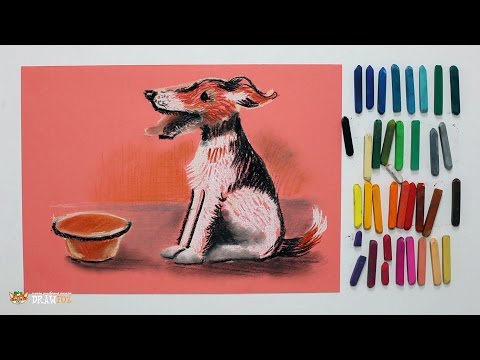 Видео: Курс рисования "Сухая пастель" Начинающие. Урок 4-5. Собака.