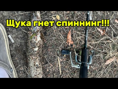 Видео: Эта щука просто ломает палки!!!#рыбалка#щука