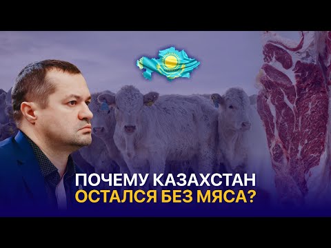 Видео: Миллиард в животноводство. Кто и как “съел” мясную отрасль Казахстана?