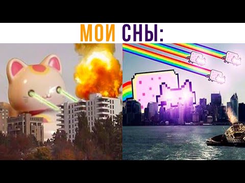 Видео: МОИ СНЫ))) Приколы | Мемозг 820