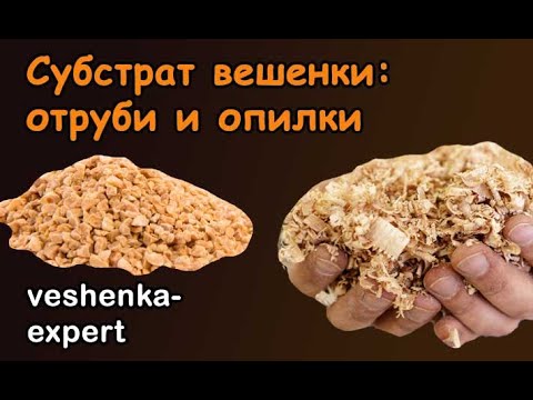 Видео: Субстрат для вешенки из опилок и отрубей - это реально? Как повысить питательность субстрата