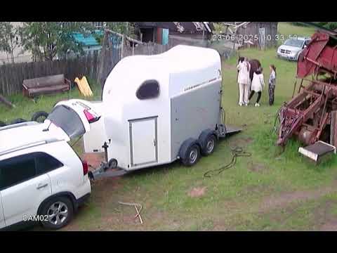 Видео: Секретный способ загрузить лошадь в коневоз