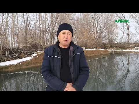 Видео: АРНАЙЫ РЕПОРТАЖ: ТОҒЫЗ ЖОЛДЫҢ ТОРАБЫНДАҒЫ ТӨРТКҮЛДІҢ ӘЛЕУМЕТТІК-ЭКОНОМИКАЛЫҚ ТІРШІЛІГІ