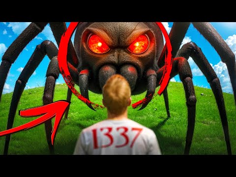 Видео: Мы Орём с Арахнофобов 🕷️