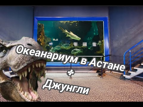 Видео: Океанариум в Астане #жизнь  #отдых  #гармония