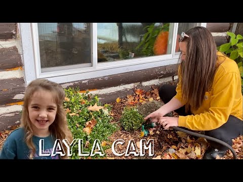 Видео: Посадка растений в семейном домике Airbnb! Веселимся с Дженной, Лейлой и Эшером! Осеннее садоводс...