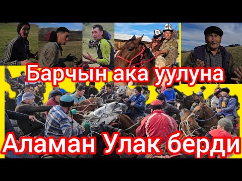 Видео: Барчын уулуна улак берди