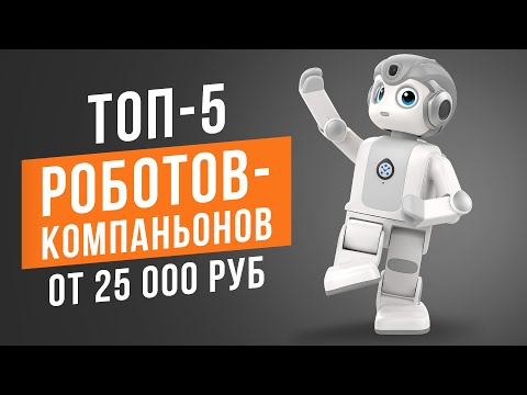 Видео: ТОП-5 Умных роботов-компаньонов от 25 000 рублей. Лучшие умные роботы в 2023 году!