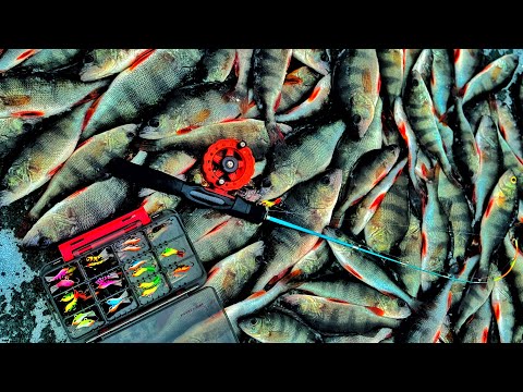 Видео: ЗНАЙШЛИ ЛІД! БАЛАНСИР РВЕ ОКУНЯ! Ловля Окуня на Балансир! ПЕРШИЙ ЛІД 2025