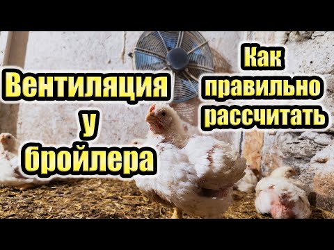 Видео: Вентиляция в птичнике