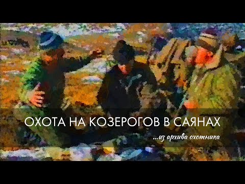 Видео: Из архива охотника. Охота на козерогов в Саянах