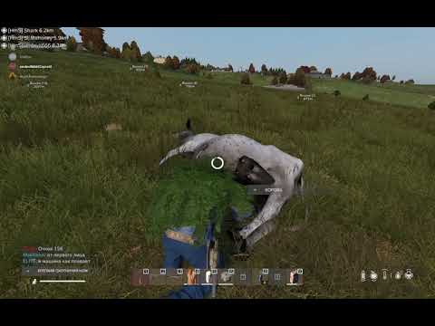 Видео: DayZ качаем Охоту.