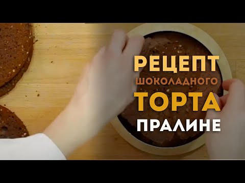 Видео: Видеоурок: Pецепт шоколадного торта "Пралине"