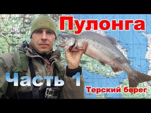 Видео: Пулонга - Часть 1