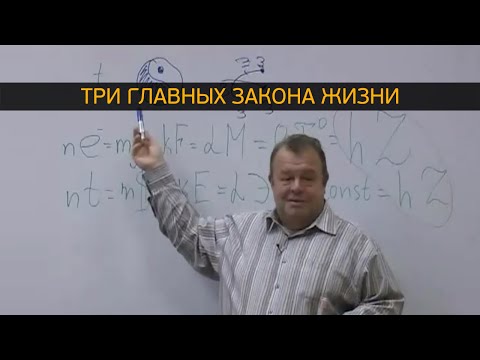 Видео: 3 главных закона Жизни. Диалектический материализм