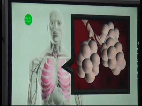 Видео: Бектурова Эльмира. Сабақтың тақырыбы:Адамның тыныс алу жолдарының құрылысы мен газ алмасу мүшелері.