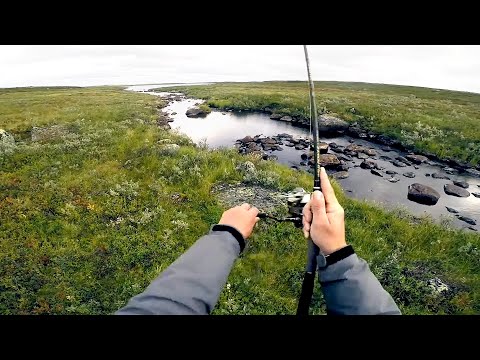 Видео: В ЭТОМ РУЧЬЕ ПОЛНО РЫБЫ!!! Вот это рыбалка! НАШЛИ ЭЛЬДОРАДО В ТУНДРЕ