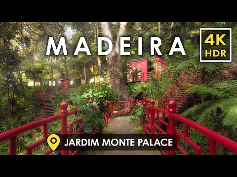 Видео: [4K HDR] ЯПОНСКИЕ Сады в Португалии 🇵🇹 | Jardim Monte Palace Tropical в Фуншале, Мадейра