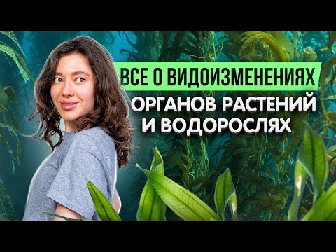 Видео: Все о видеоизменениях органов растений и водорослях | ЕГЭ и ОГЭ по биологии