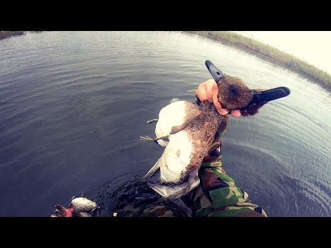 Видео: Охота на утку в старом заветном месте. Первая северная утка. Иж-43. МР-153.