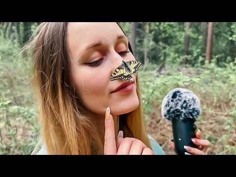 Видео: АСМР В Лесу 🌳 ASMR IN THE FOREST ✨