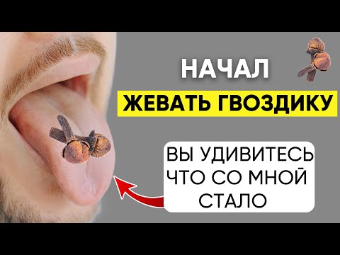 Видео: Просто начал жевать ГВОЗДИКУ, и избавился от 10 недугов! Польза и вред Гвоздики