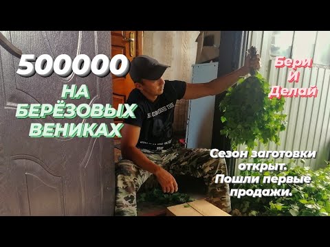 Видео: Сезон заготовки берёзовых  веников открыт. Как связать банный веник? #бизнесвдеревне