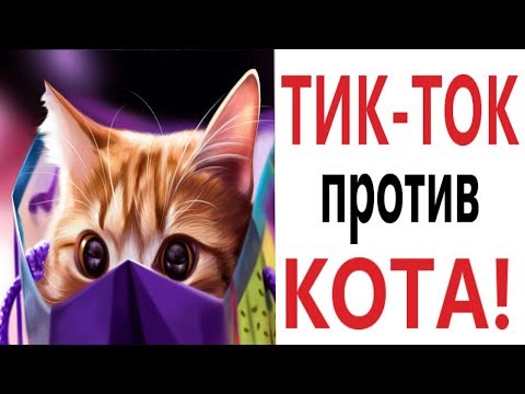 Видео: Лютые приколы. ЛАЙФХАКИ ИЗ ТИК-ТОКА ТРОЛЛИТ КОТ!!! Самое смешное видео! РЖАКА ДО слёз! – Domi Show!