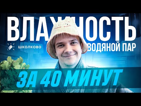 Видео: Влажность и водяной пар за 40 минут | Первая часть для ЕГЭ 2025 по физике