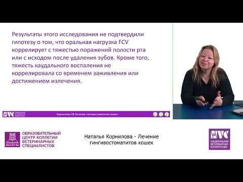 Видео: Лечение гингивостоматитов кошек — Корнилова Наталья