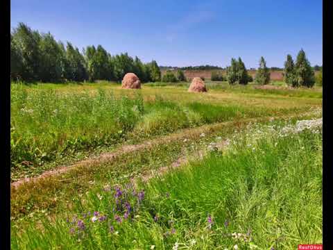 Видео: Чувашская. Песня