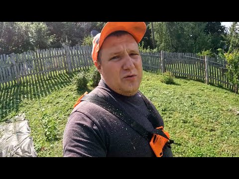 Видео: Подсветка нашего участка выходит на новый уровень, удачные эксперименты