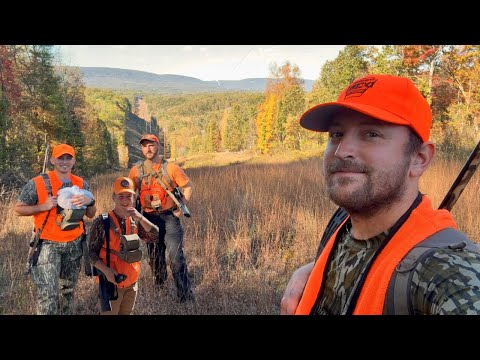 Видео: ОЛЕНИ ЕЗДЯТ В МЭРИЛЕНДЕ!! (Земля общего пользования) (Дульнозарядное ружье)