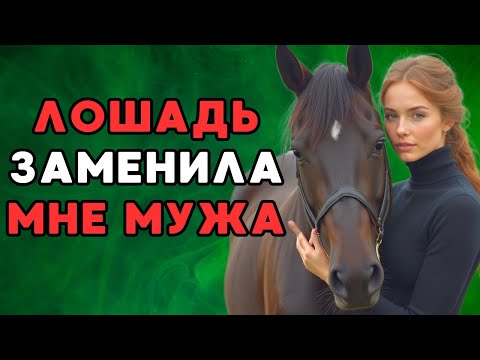 Видео: Я была поражена, когда моя лошадь вдруг начала показывать необычные трюки в поле