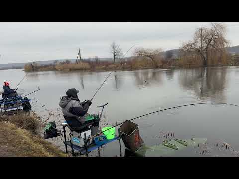 Видео: Що таке темпова фідерна рибалка?