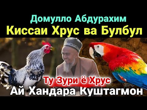 Видео: Домулло Абдурахим Киссаи Хрус ва Булбул Ай Хандара Куштагмон