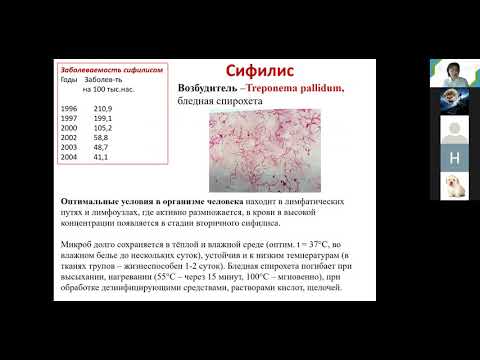 Видео: С. А. Лисовская. Медико-биологический факультет. Спирохеты.