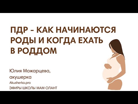 Видео: ПДР - КАК НАЧИНАЮТСЯ РОДЫ И КОГДА ЕХАТЬ В РОДДОМ