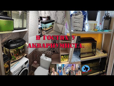 Видео: В гостях у аквариумиста.