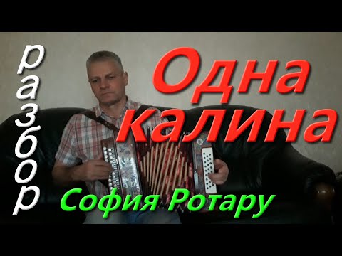 Видео: Одна калина. разбор на гармони. Николай Гарбузов