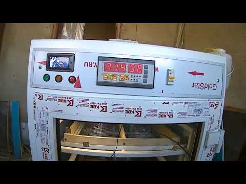 Видео: Вентилятор в инкубаторе. Небольшие секреты.