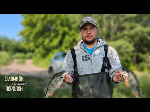 Видео: ЛОВЛЯ ОКУНЯ НА ОБИ.ОКУНЬ НА ОТВОДНОЙ ПОВОДОК.