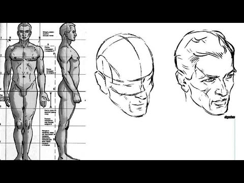 Видео: КАК нарисовать ЧЕЛОВЕКА. Пропорции ТЕЛА и ГОЛОВЫ