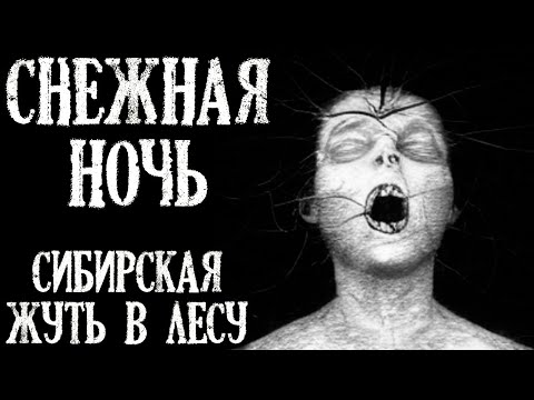 Видео: Снежная ночь (Лесная Сибирская История)
