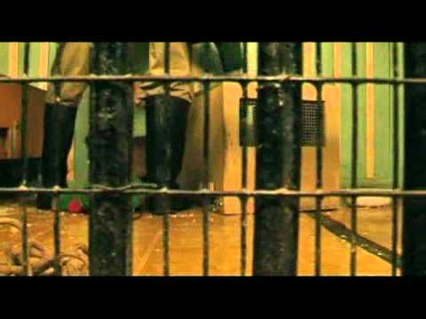 Видео: Рысь Нелли 3-25