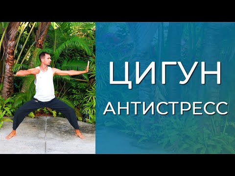 Видео: Цигун против стресса. Обретение спокойствия и умиротворения. Цигун для начинающих