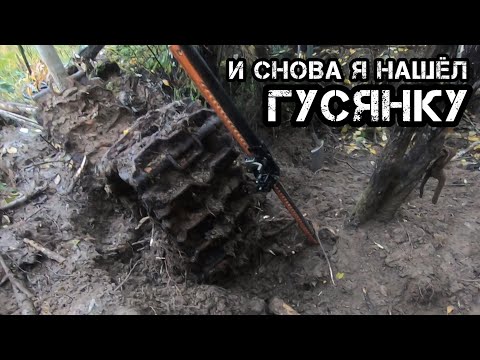 Видео: И снова Коп и снова Гусянка!