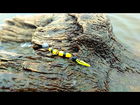 Видео: Зимний спиннинг на нижней Москва реке с Лайтом. #срыбалки