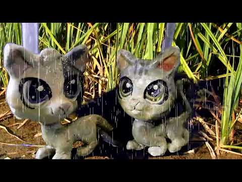 Видео: LPS;Коты воители Месть Кленовницы 5 серия