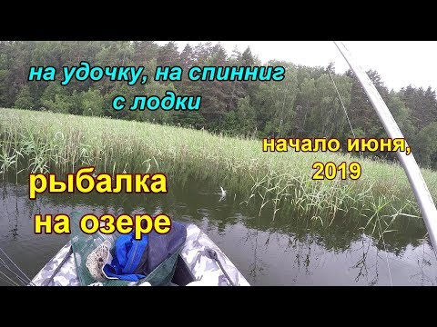 Видео: рыбалка на озере на поплавок и спиннинг с лодки Псковская область